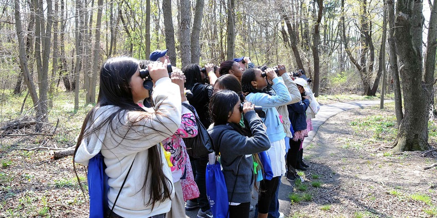 If you are a nature lover, then birdwatching at this attraction is a must-do activity.