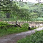 A breathtaking landscape of Chimmini Sanctuary in Kerala, ideal for witnessing animals.