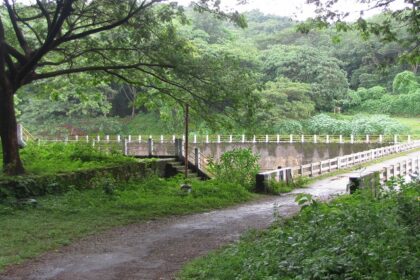 A breathtaking landscape of Chimmini Sanctuary in Kerala, ideal for witnessing animals.