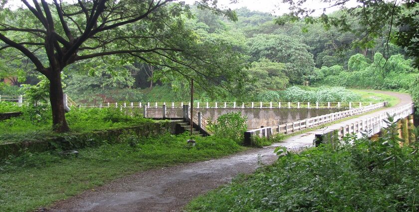 A breathtaking landscape of Chimmini Sanctuary in Kerala, ideal for witnessing animals.