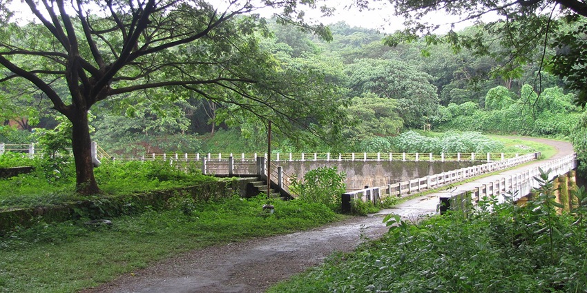 Dense forest and tranquil reservoir at Chimmini Wildlife Sanctuary, ideal for nature walks.