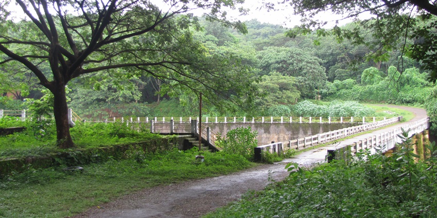 Chimmini Wildlife Sanctuary is one of the most amazing places near the theme park.