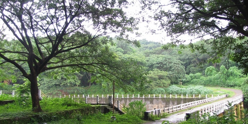Chimminni wildlife sanctuary is a must- destination on your list of places to visit in Thrissur