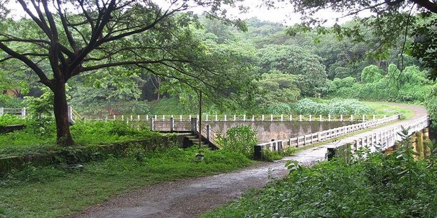 A wildlife sanctuary near Vazhachal waterfalls