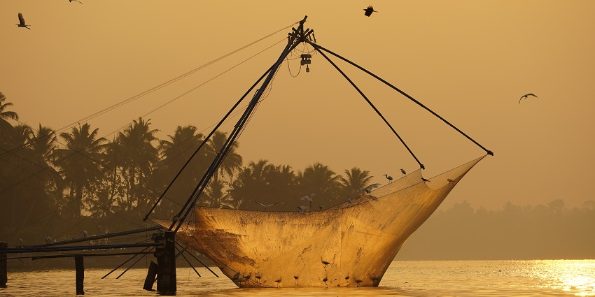 Chinese fishing nets arranged above the water to catch fish through ancient methods.