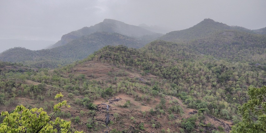 Enjoy the tranquil enchanting view of the lush forest at the Chinnar Wildlife Sanctuary