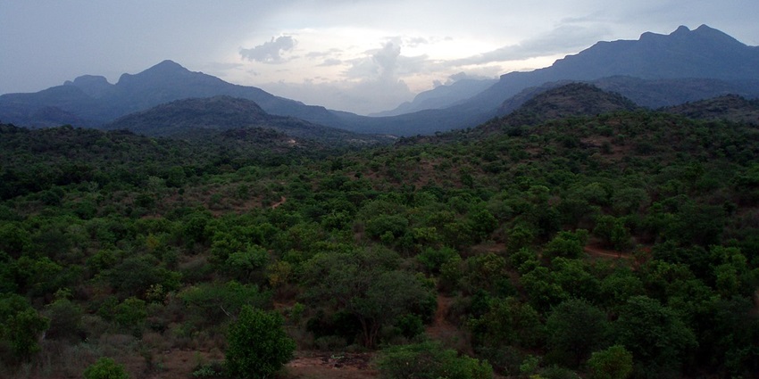 Scenic Chinnar Wildlife Sanctuary in Evening which is the best places to visit in Munnar