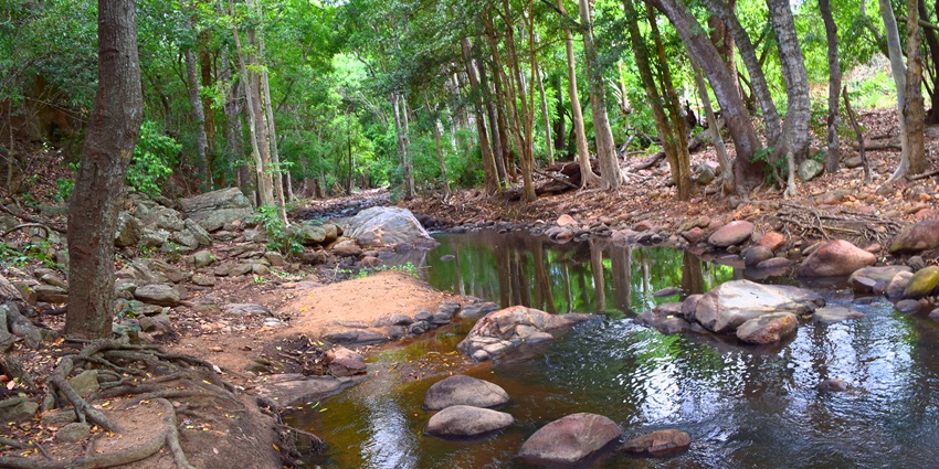 A view of the Chinnar Wildlife Sanctuary featuring rugged terrains and greenery.