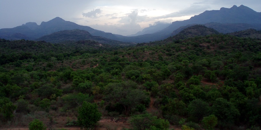 Chinnar Wildlife Sanctuary is one of the best places to visit around this attraction.