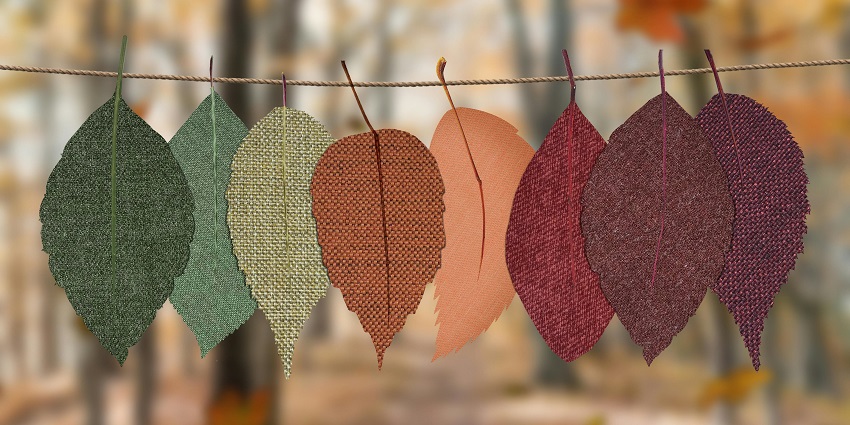 A view of colourful leaves hanging on a rope representing different seasons of the year.