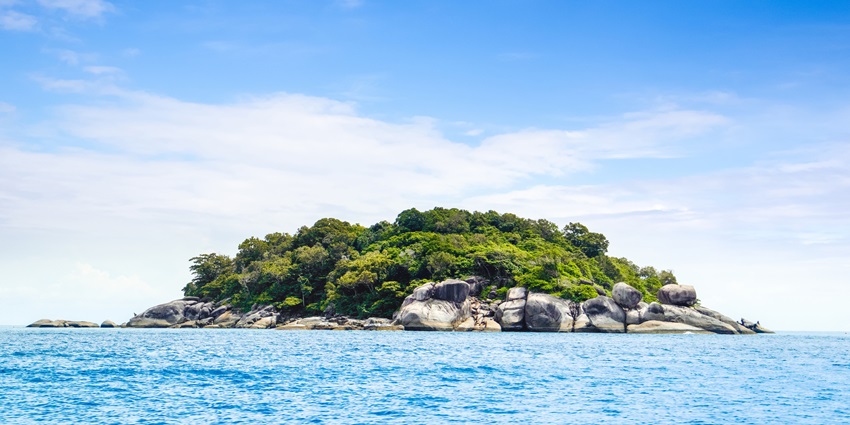 A beautiful view of fish swimming underwater in Cinque Island around Rutland Island.