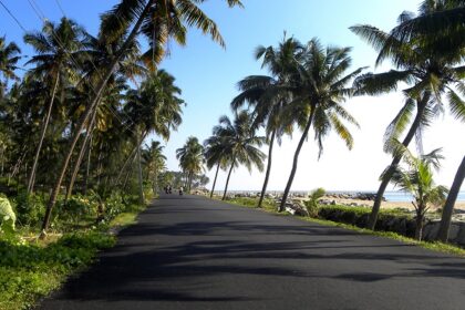 Scenic route with ocean views and lush greenery - visit the best hill stations in Kollam