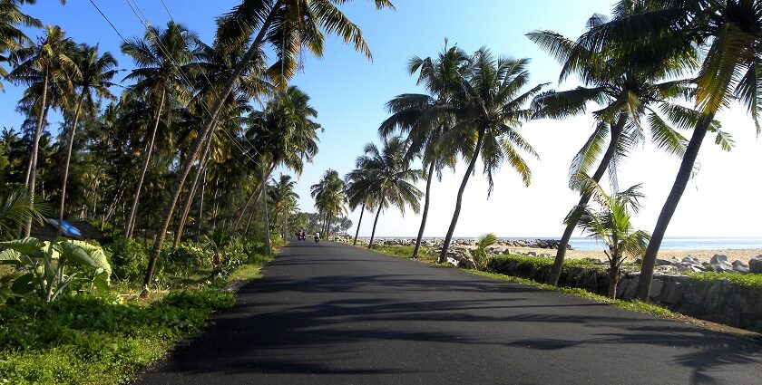 Scenic route with ocean views and lush greenery - visit the best hill stations in Kollam