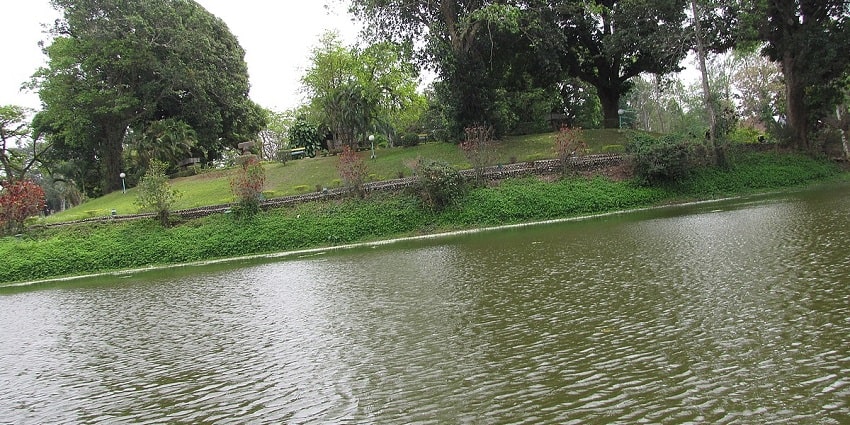 Beautiful snap of the lake somewhere in the Park - Best places to visit in Tezpur