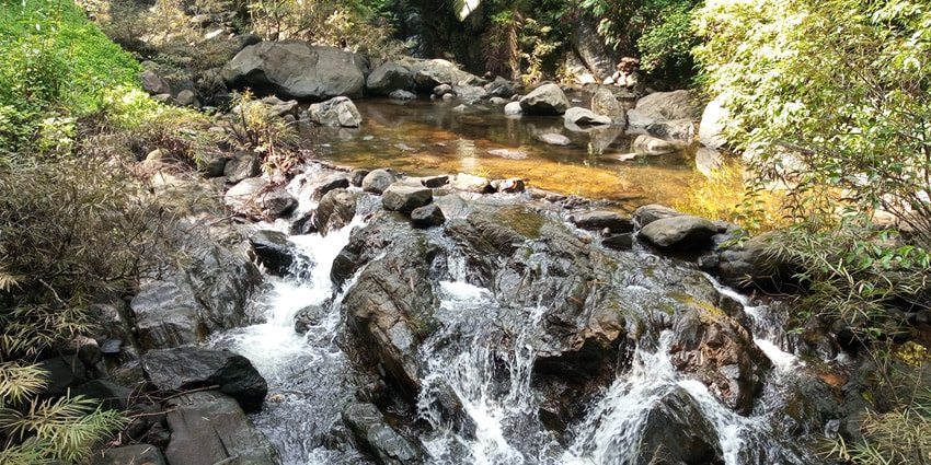 A picture of a quaint waterfall in Coorg offering a serene environment amidst green forest