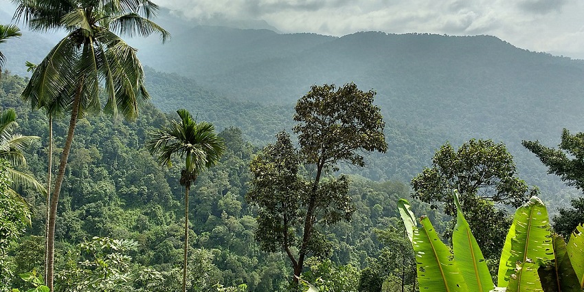 Picturesque views of the Coorg Hills – One of the best places to visit near Kerala