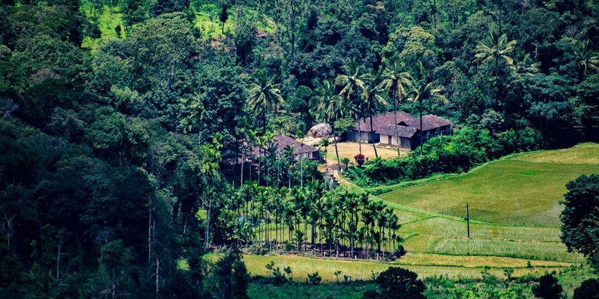 Coorg is a haven for nature lovers to find a retreat from the scorching heat of summer.