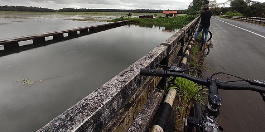 The best way to explore Munroe Island is via cycling through its mystic landscapes.