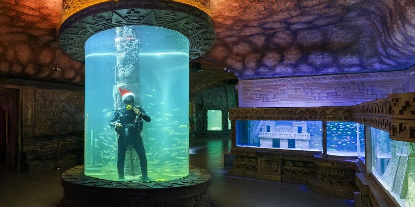 Visit Vizhinjam Marine Aquarium, one of the most beautiful places to visit near Kovalam