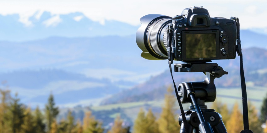 Photography in the national park is quite a famous activity in the lush backdrop.