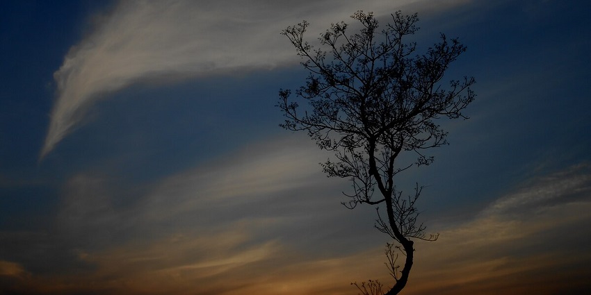 A beautiful snapshot of the Sunset near the horizon somewhere in Tezpur, Assam