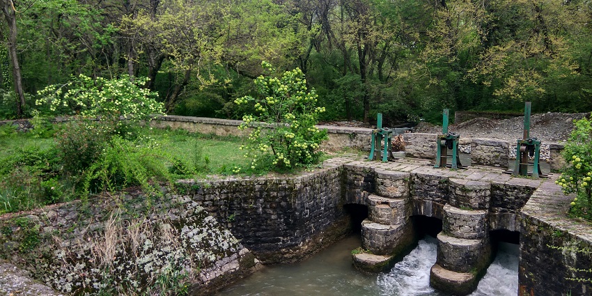Dachigam National Park is one of the best places to visit in Srinagar in summer.