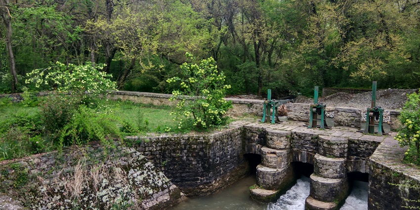 Dachigam National Park is one of the must go to places in Kashmir during winters