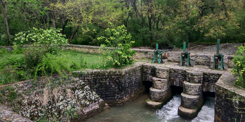 Dachigam National Park is home to a diverse range of flora and fauna endemic to Kashmir.
