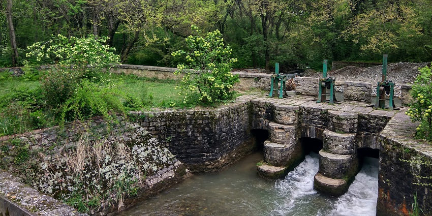 Dachigam National Park, a serene forest located in the state of Jammu and Kashmir