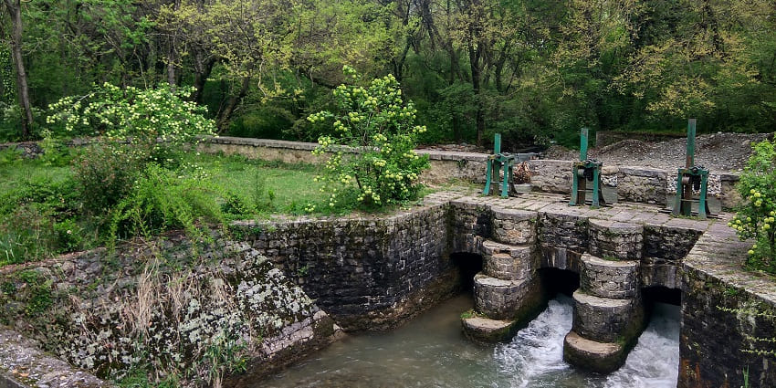 Dachigam National Park is a serene forest located in the state of Jammu and Kashmir