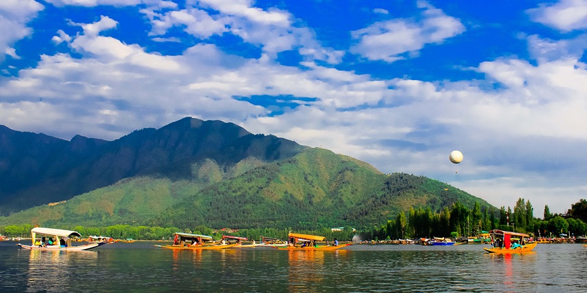 Witnessing the beauty of Dal Lake on Shikaras is one of the best things to do in Kashmir.