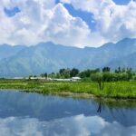 The Dal Lake water reflecting the Himalayan mountains and the blue sky. The water lilies grow on water, its parts used as food. Also seen is a farm, on an island in the lake, growing variety of vegetables.