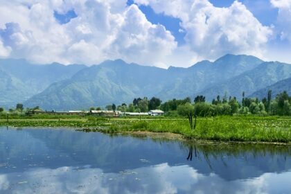 The Dal Lake water reflecting the Himalayan mountains and the blue sky. The water lilies grow on water, its parts used as food. Also seen is a farm, on an island in the lake, growing variety of vegetables.