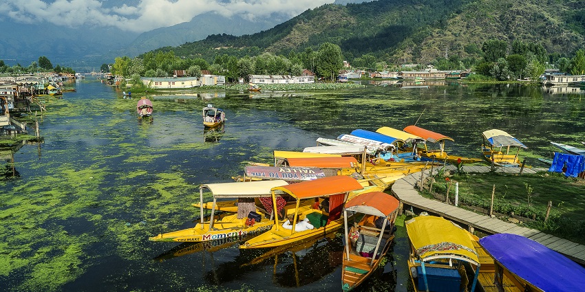 Go on Shikara rides across Dal lake, which is one of the places to visit in Kashmir in July