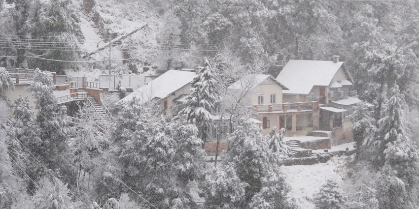 Dalhousie in winter, houses & trees covered in snow - places to visit in winter in India