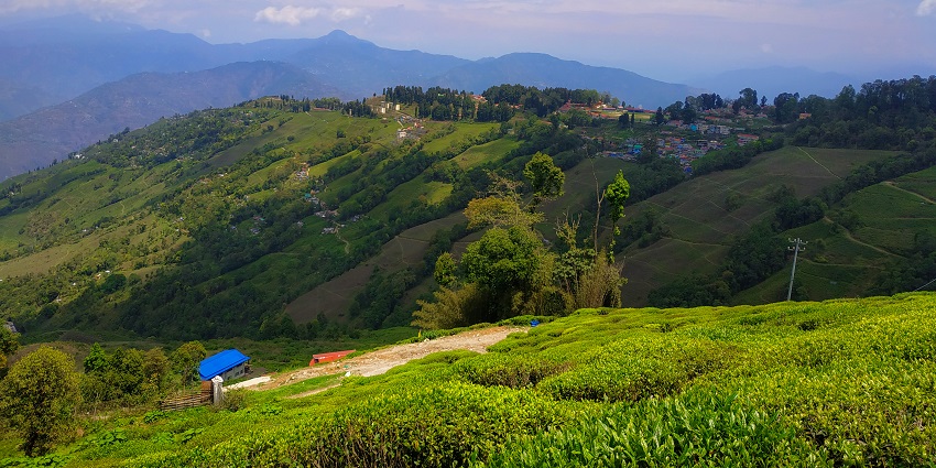 Darjeeling is known for its tea gardens and stunning views, enjoyed by tourists of all kinds.