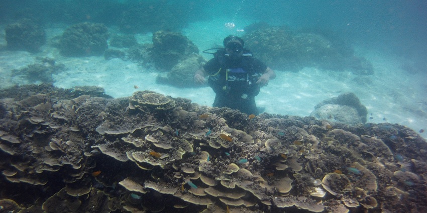 Mesmerising Coral rocks sediments at Port Blair, Andaman Island