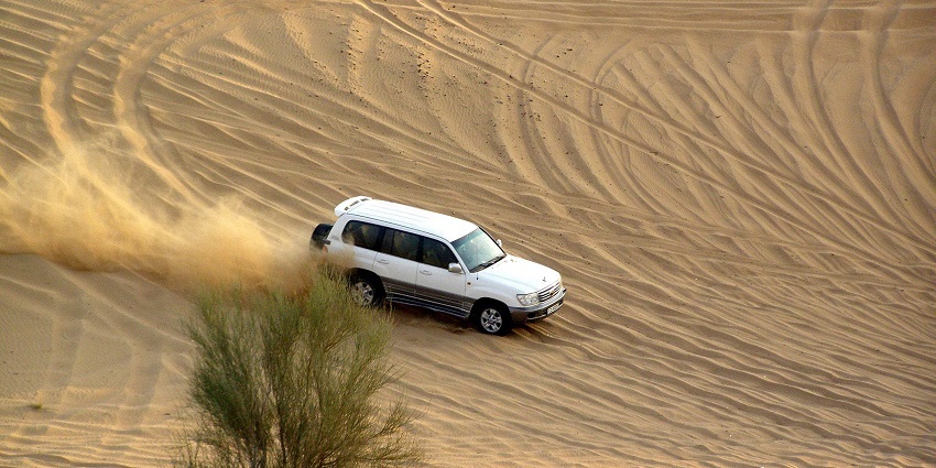 Enjoy the desert safari: thrilling dune rides, camel rides, and vibrant desert scenery.