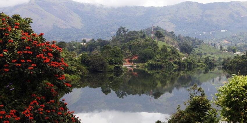 A picture of a scenic lake near Power House Waterfalls with flowers blooming all around
