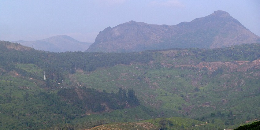 A panoramic view of the green carpet of Devikulam, one of the hill stations in Thrissur