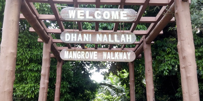 Dhani Nallah is a wildlife trail and beach on the edge of Rangat, Andaman Islands.