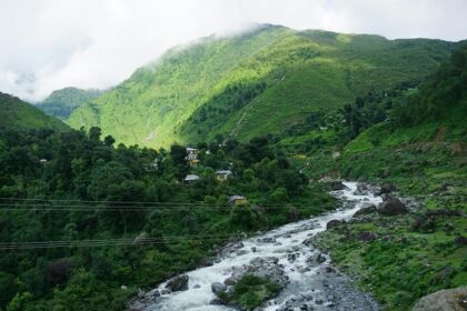 A stunning green view of a valley in Dharamshala with a stream of water flowing through.