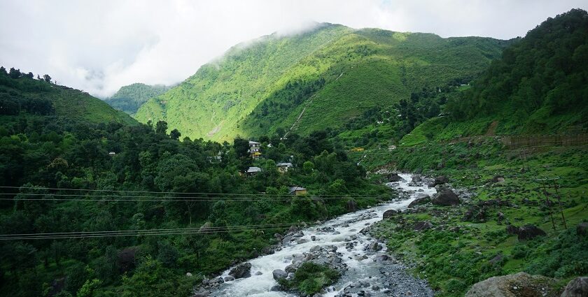 A stunning green view of a valley in Dharamshala with a stream of water flowing through.