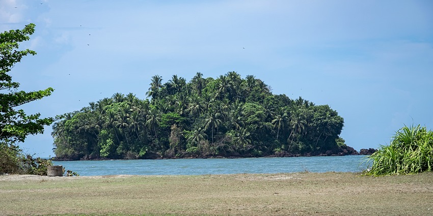 Dharmadam Island with lush greenery - one of the best private islands in Kerala.