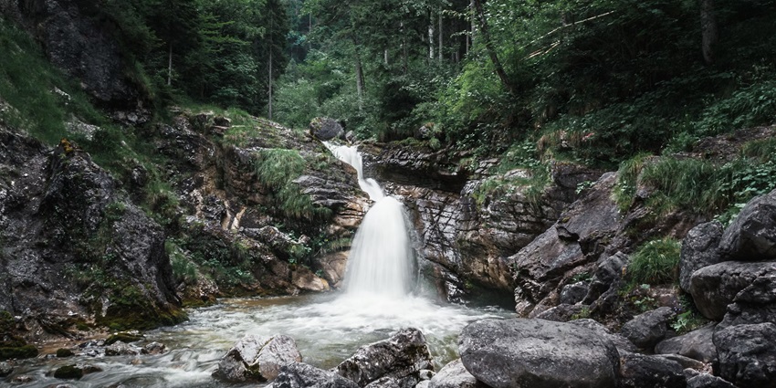 One of the most alluring places to visit in Palakkad is Dhoni Waterfalls for serene views.