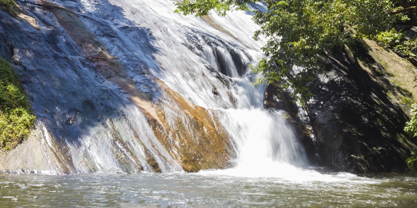 The misty Dhoni waterfalls is one of the most beautiful hill escape near Kalpathy temple