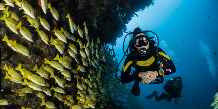 The view of two people sea diving underwater in the turquoise waters of Andaman Islands.