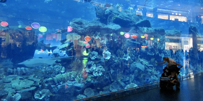 The beautiful snapshot of a giant aquarium at the Dubai - Atlantis Waterpark Dubai, UAE