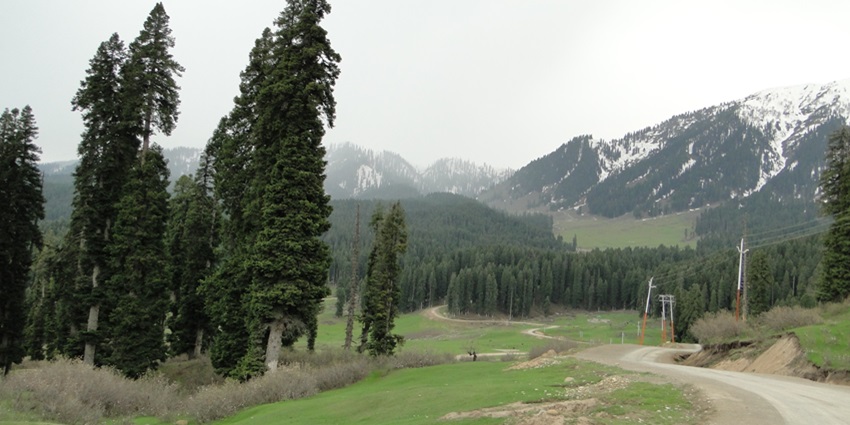 View of Doodhpathri with its misty forests and snow-clad mountains in Kashmir