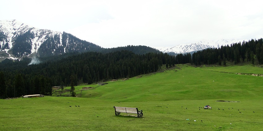 A view of lush greenery in the Doodhpathri region of Kashmir with a bench in the middle